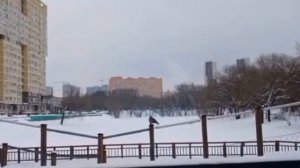 Прогулка зимняя