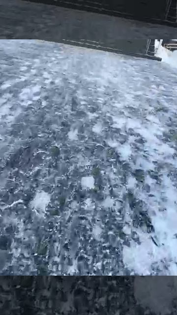 79481215637__B54A2B2A-5FC0-40A5-B406-9DE5B2DB7EF0