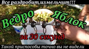 Придумал Дробилку для Яблок. Результат Меня Порадовал!!! Делаю Сидр