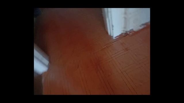 Даша и ее друзья 1907