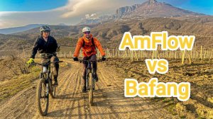 AmFlow vs. Bafang