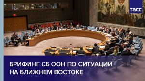 Брифинг СБ ООН по ситуации на Ближнем Востоке