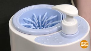 Лапомойки для собак: тест-драйв. Доброе утро. Фрагмент выпуска от 10.03.2026