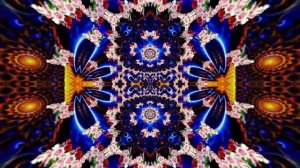 Видеофоны! Видеофон Фантастические букеты роз 4 от Киностудии Мудрого Кота Тимофея!