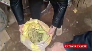 Хоразмда ИИБ ва ДХХ ўтказган тезкор тадбирлар натижасида учта жиноят фош этилди