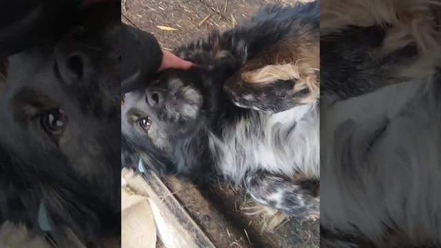 ✨10.03.2026г Приют