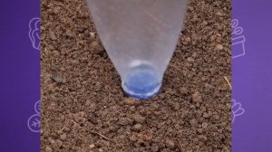 25 хитростей для дачников! Эти ИДЕИ для огорода и сада, должна знать каждая!