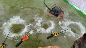 ВЕСНА 2026. УЛОВ 10 МАРТА.