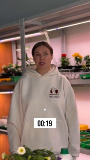 Фитолампа для рассады: 5 ответов на главные вопросы