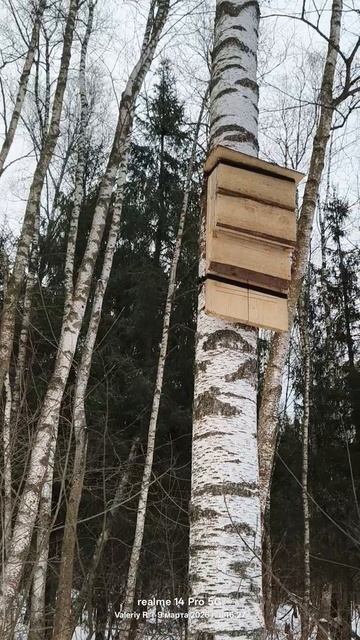 Домик для летучих мышей 🦇  09.03.2026