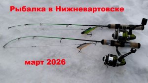 Рыбалка в Нижневартовске 09 марта 2026