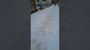 идём в школу