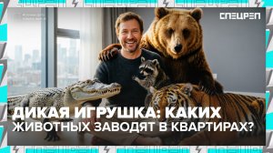 ДИКАЯ ИГРУШКА | Почему дикие животные в тренде у москвичей | Спецреп