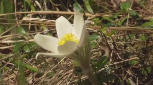 Страницы из 2019г 6ч