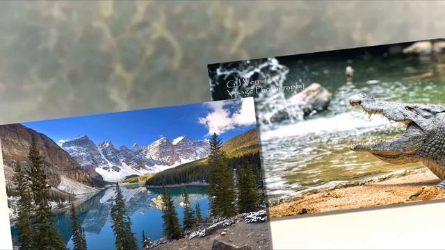 Skin-divers - Walk With a Bass