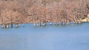 Кипарисовое озеро Сукко 10 марта 2026 глазами Дмитрия Сорвенкова