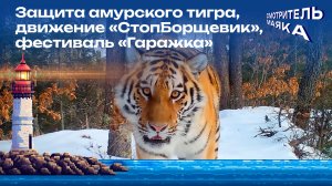 Защита амурского тигра, «СтопБорщевик», фестиваль «Гаражка» | Смотритель маяка с Романом Маякиным