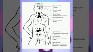 7 чакр - доступным языком 😎