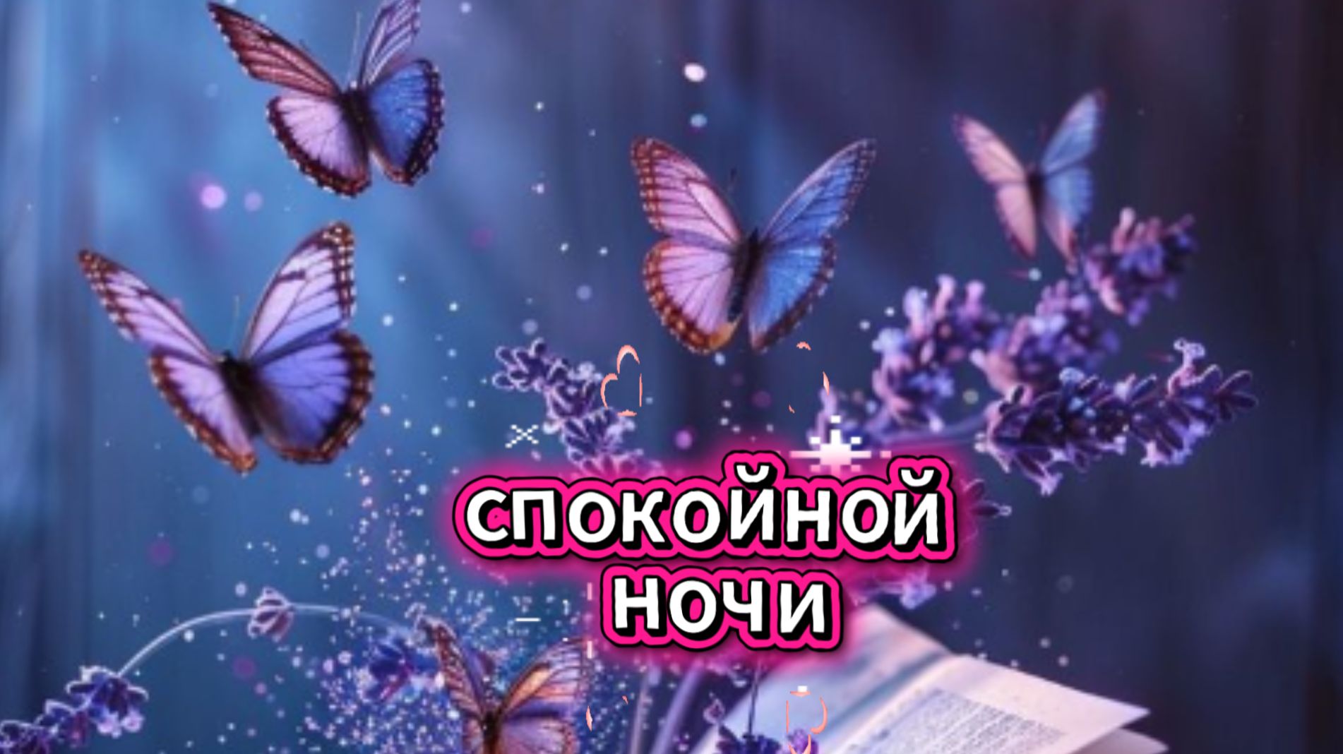 Спокойной ночи пусть сон будет спокойным 🌙