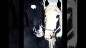 Ах, эти лошадки! Красотища!