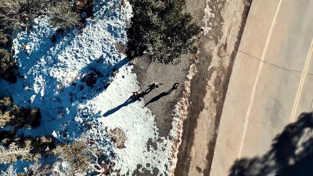 THE IMMIGRANT SONG - Immortal Guardian Feat. Leather Leone  Mary Zema Led Zeppelin Cover