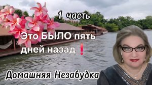 1 часть. Это БЫЛО 5 дней назад❗️