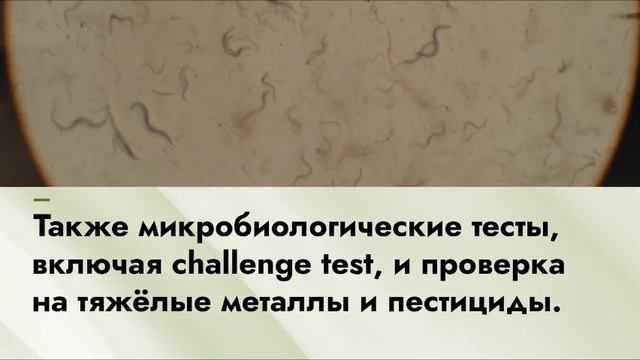 Сертификация косметики — список необходимых исследований — Sertex.org