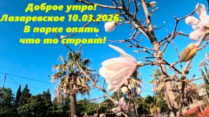 В парке опять что то строят! Лазаревское, утро 10.03.2026.