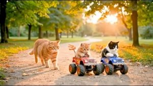 Мама КОШКА 13 серия 😻❤️