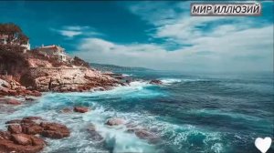 Камелия грешнецы.