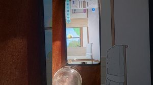 🎵🍄Играю в току боку на новом телефоне🎵🍄