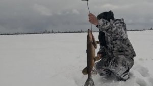 Рыбалка на таёжных озёрах. Ловлю ЩУК.