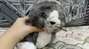 всё про Котофей,.  КАК Котофей что-то делает (кстати кота зовут Мурка фамилия Котофея отчество Андре