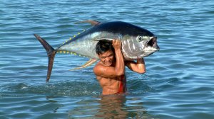 Салат из тунца с овощами(ОбжирАНКИН)