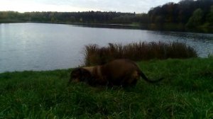 149 2019.10.16_08.02.10 Маня у Лебедянского пруда.