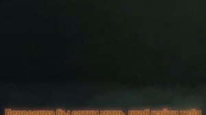 Коты-воители шаг за шагом