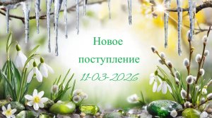 Новое поступление 11-03-2026