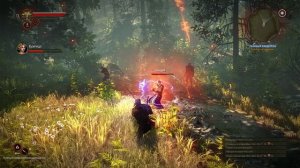 The Witcher 2 - [45] прохождение ПК русские субтитры 2020