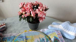 Дела вязально вышивальные. Лайтовый вылет 😅