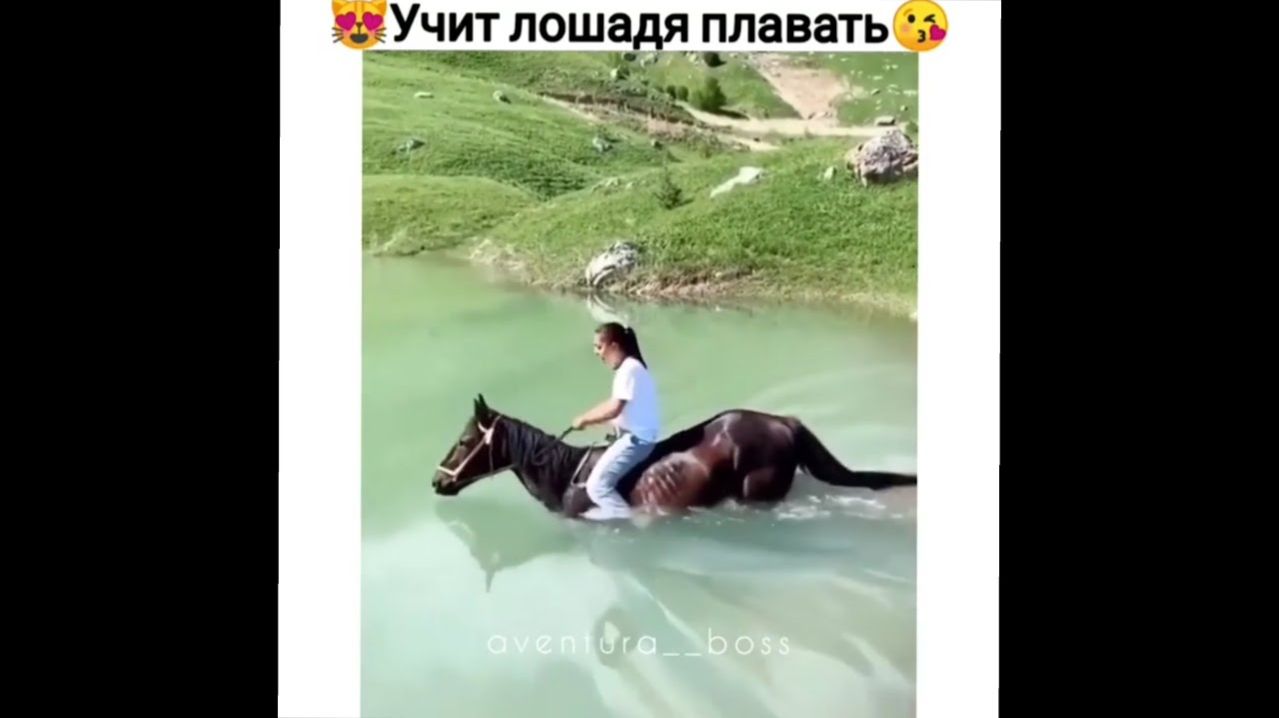 Смешно до слёз😂 Лучшие комменты  Март 2026