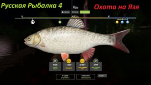 Русская Рыбалка 4 Охота на трофея не удалась