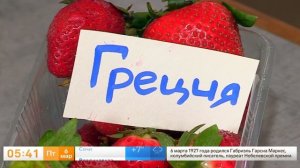 ТВ: специалисты филиала по Москве и области рассказали об исследовании клубники на безопасность