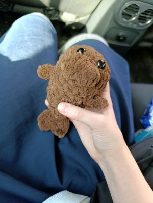 новости и распаковка нового басика