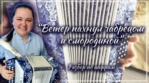 ВЕТЕР ПАХНУЛ ЧАБРЕЦОМ И СМОРОДИНОЙ ► Разбор на гармони