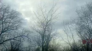 Дельта Дона