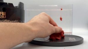 Тянь Лисинь (карась)