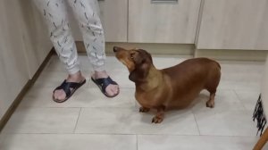 174 2021.02.15_23.31.44