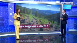 Восстановление леса в Поморье. Иван Новиков. Сказано в Сенате