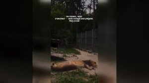 Видео от МЭН - Мне Это Нравится