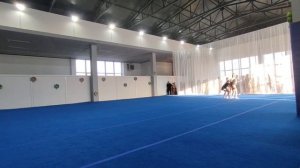 ТР 2 юношеский разряд, Захарова - Захарова - Магер, МАУДО ДТДиМ, Комбинированное упражнение